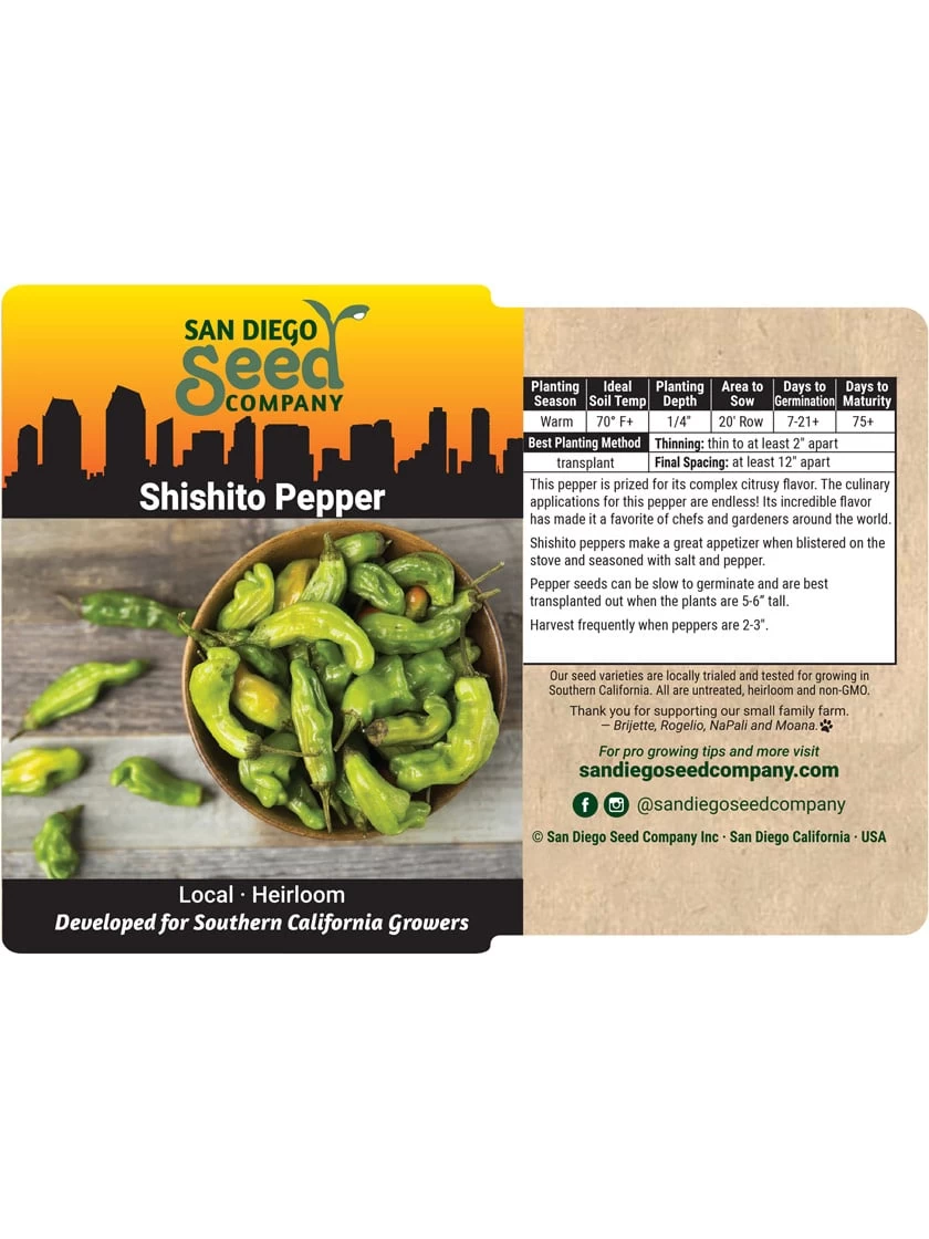 Shishito Pepper Organic Seeds 5 Shishito Pepper Organic Seeds - Image 3