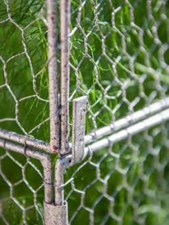 Chicken Wire Crop Coop Extension 12 Chicken Wire Crop Coop Extension -Outdoor Garden Care Shop 8611940 232 tif