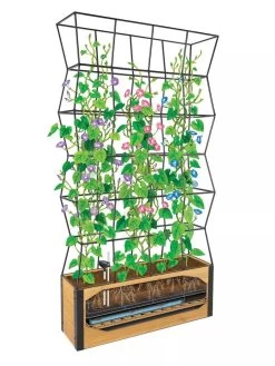 Self-Watering Partition Planter -Outdoor Garden Care Shop 8611952 art 3 4