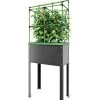 City Jungle® Heidelberg Tomato Trellis 2 City Jungle® Heidelberg Tomato Trellis -Outdoor Garden Care Shop 8611964 01V tif