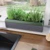 Provence Self-Watering Herb Planter -Outdoor Garden Care Shop 8611965 01V tif