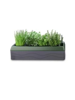 Provence Self-Watering Herb Planter -Outdoor Garden Care Shop 8611965 03V tif