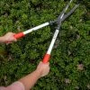 Castellari Superior Gardening Shears