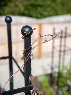 Essex Square Obelisk -Outdoor Garden Care Shop 8611984 278 tif