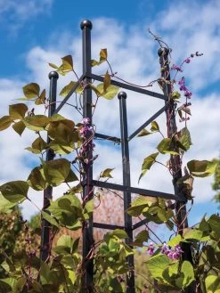 Essex Square Obelisk -Outdoor Garden Care Shop 8611984 354 tif