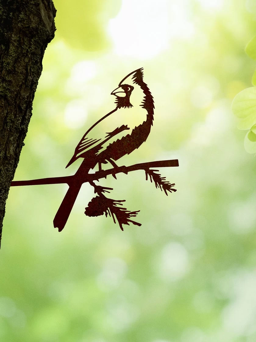 Metalbird Cardinal 3 Metalbird Cardinal