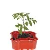 Deluxe Tomato Halos, Set Of 2 1 Deluxe Tomato Halos, Set Of 2 -Outdoor Garden Care Shop 8612045 2009 tif