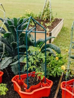 Deluxe Tomato Halos, Set Of 2 -Outdoor Garden Care Shop 8612045 221 tif