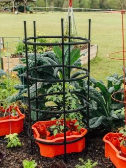 Deluxe Tomato Halos, Set Of 2 -Outdoor Garden Care Shop 8612045 228 tif