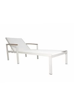 Braylee Reclining Chaise Lounge 13 Braylee Reclining Chaise Lounge -Outdoor Garden Care Shop 8612262 07v