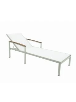 Braylee Reclining Chaise Lounge 17 Braylee Reclining Chaise Lounge -Outdoor Garden Care Shop 8612262 08v