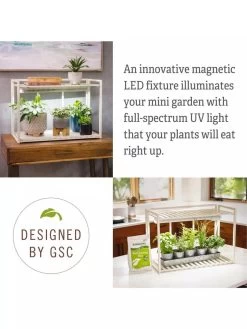 Tabletop Grow Kit 13 Tabletop Grow Kit -Outdoor Garden Care Shop 8612507 4