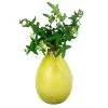 Achla Designs Teardrop Rooting Vase -Outdoor Garden Care Shop 8612530ye 01v