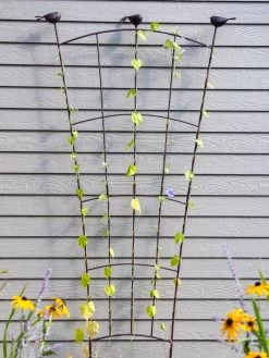 Flock Of Friends Wall Trellis