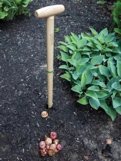 Wicked Big Dibber -Outdoor Garden Care Shop 8612667 0028