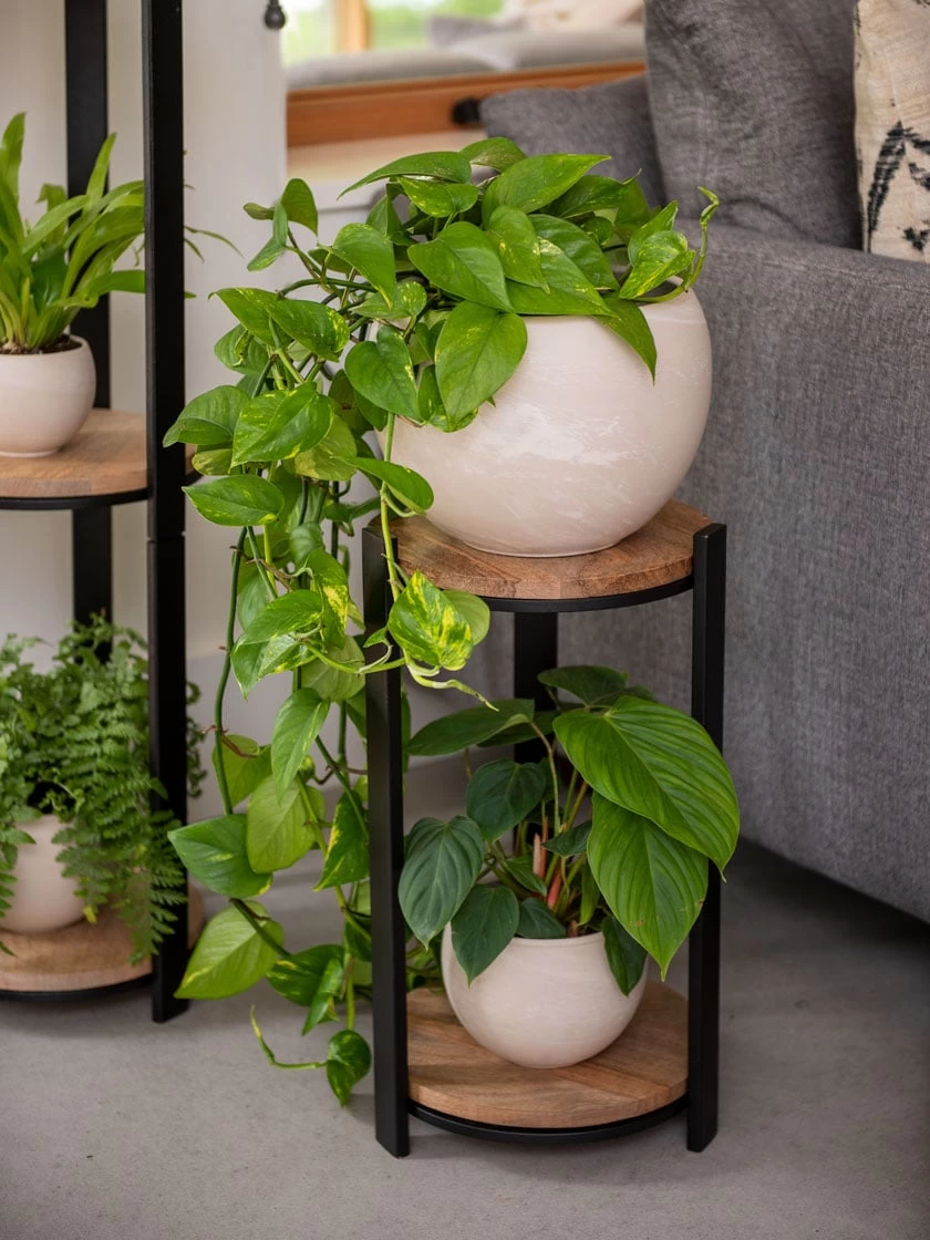 Double Tower Plant Stand 3 Double Tower Plant Stand