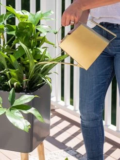 Precision Brass Watering Can -Outdoor Garden Care Shop 8612691 0011