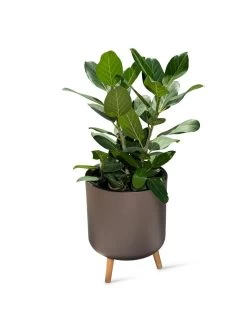 Ava Self-Watering Round Planter 13 Ava Self-Watering Round Planter -Outdoor Garden Care Shop 8612692 0003