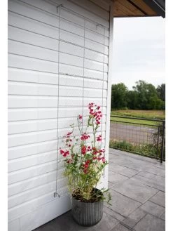 Chicken Wire Wall Trellis 16 Chicken Wire Wall Trellis -Outdoor Garden Care Shop 8612717 0081