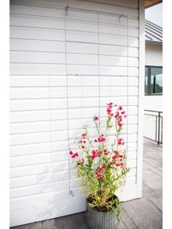 Chicken Wire Wall Trellis 15 Chicken Wire Wall Trellis -Outdoor Garden Care Shop 8612717 0093