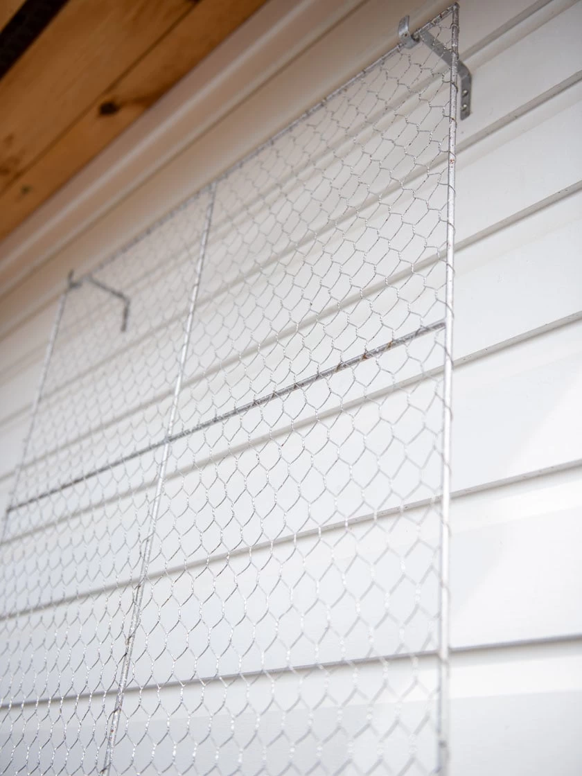 Chicken Wire Wall Trellis 10 Chicken Wire Wall Trellis - Image 8