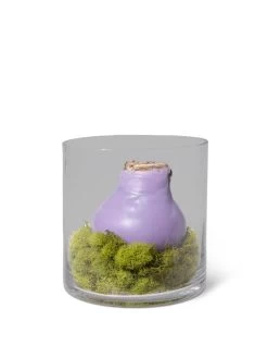 Outdoor Garden Care Shop -Outdoor Garden Care Shop 8612756 4937