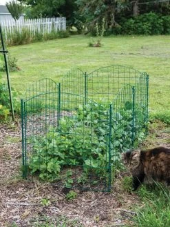 6 Panel Critter Fence With Gate -Outdoor Garden Care Shop 8612967 2570 tif