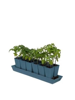 Gardener's Best® XL Seed Starting Kit -Outdoor Garden Care Shop 8613066 0029