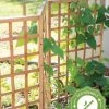 Bamboo Zig-Zag Trellis 24" X 36" 2 Bamboo Zig-Zag Trellis 24" X 36" -Outdoor Garden Care Shop 8613151 15
