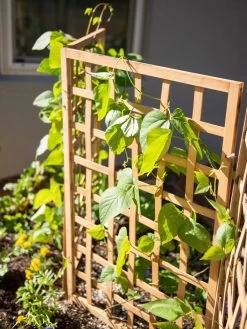Bamboo Zig-Zag Trellis 24" X 36" 16 Bamboo Zig-Zag Trellis 24" X 36" -Outdoor Garden Care Shop 8613151 6467