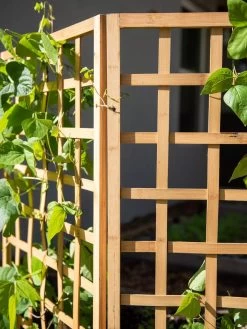 Bamboo Zig-Zag Trellis 24" X 36" 18 Bamboo Zig-Zag Trellis 24" X 36" -Outdoor Garden Care Shop 8613151 6491