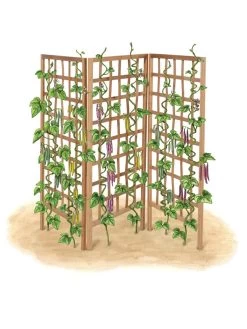 Bamboo Zig-Zag Trellis 24" X 36" 20 Bamboo Zig-Zag Trellis 24" X 36" -Outdoor Garden Care Shop 8613151 art flat