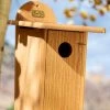 Spruce Creek Bluebird House 2 Spruce Creek Bluebird House -Outdoor Garden Care Shop 8613212 03v spruce creek bluebird house