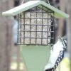 Birds Choice™ Tail Prop Feeder 2 Birds Choice™ Tail Prop Feeder -Outdoor Garden Care Shop 8613220 08v