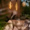 Retro Essence⢠Vintage LED Light Bulbs 2 Retro Essence⢠Vintage LED Light Bulbs -Outdoor Garden Care Shop 8613229 07038 retro essence vintage led light bulbs