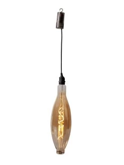 Retro Essence™ Vintage LED Light Bulbs 16 Retro Essence™ Vintage LED Light Bulbs -Outdoor Garden Care Shop 8613229 5979