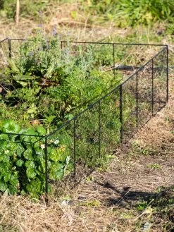 Chicken Wire Critter Fence, 16" High -Outdoor Garden Care Shop 8613249 0336