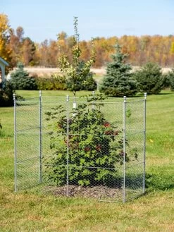 Tall Chicken Wire Critter Fence Extension Panel, Set Of 2 19 Tall Chicken Wire Critter Fence Extension Panel, Set Of 2 -Outdoor Garden Care Shop 8613260 0030