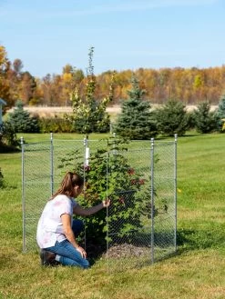 Tall Chicken Wire Critter Fence With Gate -Outdoor Garden Care Shop 8613260 0044 1