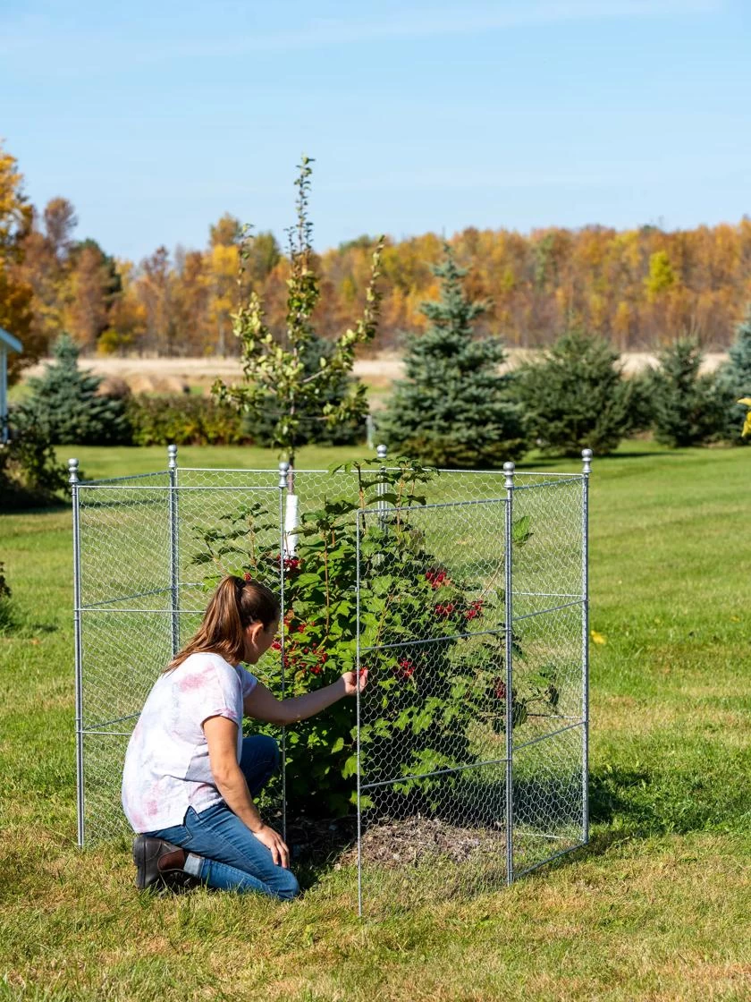 Tall Chicken Wire Critter Fence Extension Panel, Set Of 2 8 Tall Chicken Wire Critter Fence Extension Panel, Set Of 2 - Image 6