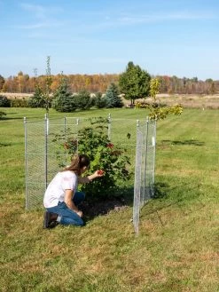 Tall Chicken Wire Critter Fence Extension Panel, Set Of 2 20 Tall Chicken Wire Critter Fence Extension Panel, Set Of 2 -Outdoor Garden Care Shop 8613260 0090