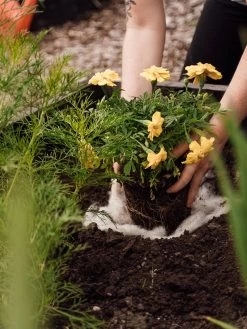 Hortiwool ®, Starter Garden Pad 11 Hortiwool ®, Starter Garden Pad -Outdoor Garden Care Shop 8613263 12v 1