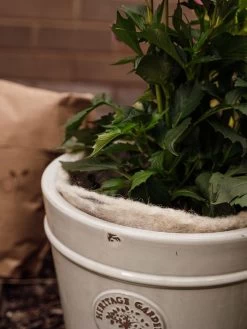 Hortiwool ®, 5 Pad Pack 16 Hortiwool ®, 5 Pad Pack -Outdoor Garden Care Shop 8613263 17v