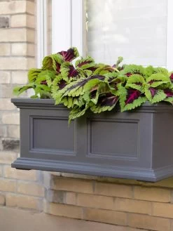 Fairfield Self-Watering Window Box, 2’ 13 Fairfield Self-Watering Window Box, 2’ -Outdoor Garden Care Shop 8613268 08V tif