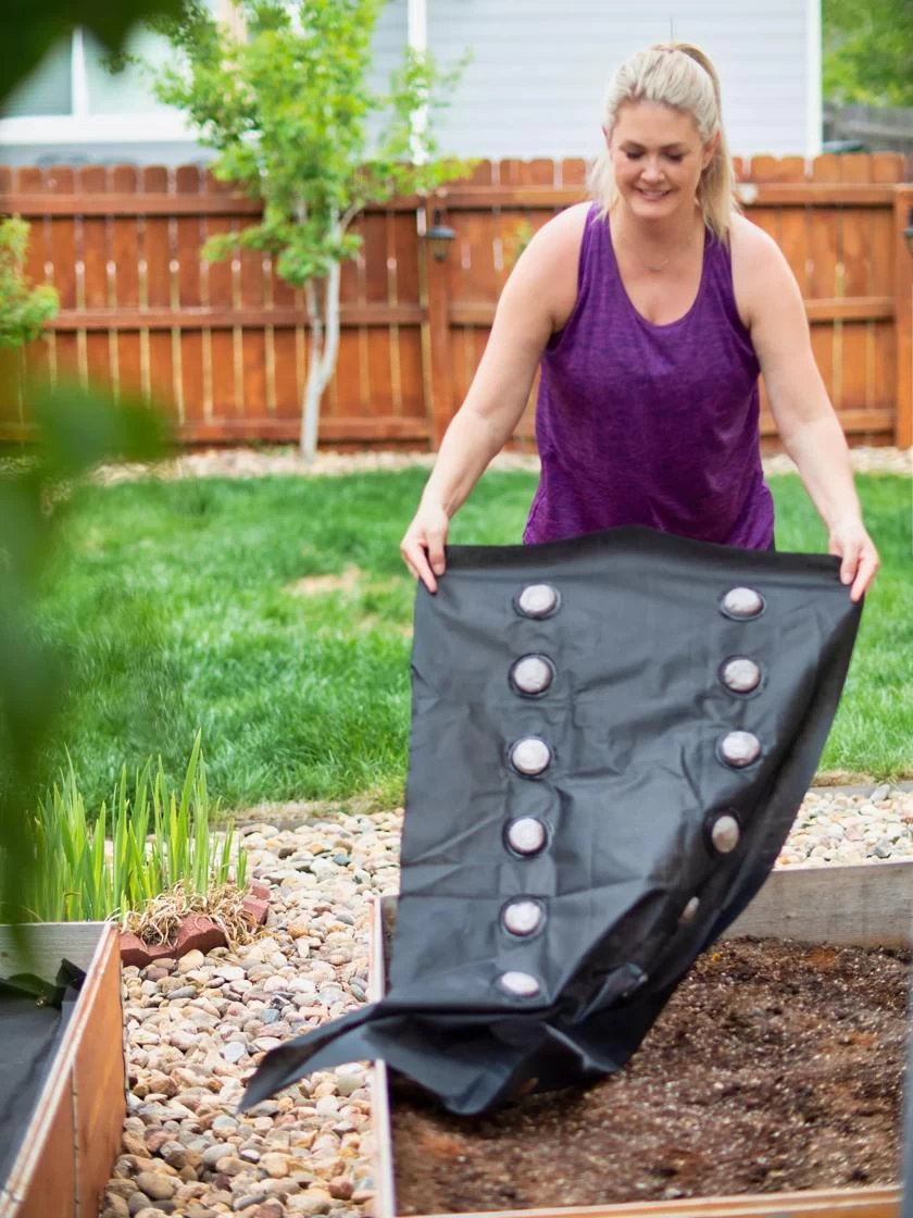 SeedSheets Organic Vegetable Garden, Easy Breezy Caprese, 4' X 8' 7 SeedSheets Organic Vegetable Garden, Easy Breezy Caprese, 4' X 8' - Image 5