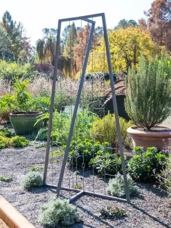 Pilar Free Standing Trellis -Outdoor Garden Care Shop 8613316 5164