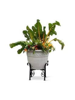 Covington Adjustable Plant Stands -Outdoor Garden Care Shop 8613347 0119