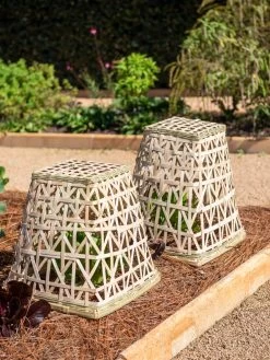 Bamboo Cloche, Set Of 2 14 Bamboo Cloche, Set Of 2 -Outdoor Garden Care Shop 8613351 0150 bamboo cloche set of 2