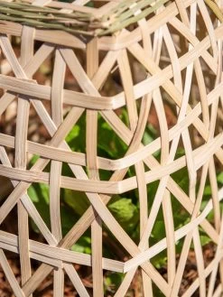 Bamboo Cloche, Set Of 2 19 Bamboo Cloche, Set Of 2 -Outdoor Garden Care Shop 8613351 0153