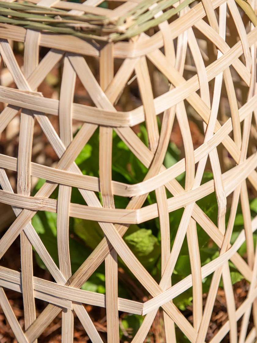 Bamboo Cloche, Set Of 2 10 Bamboo Cloche, Set Of 2 - Image 8